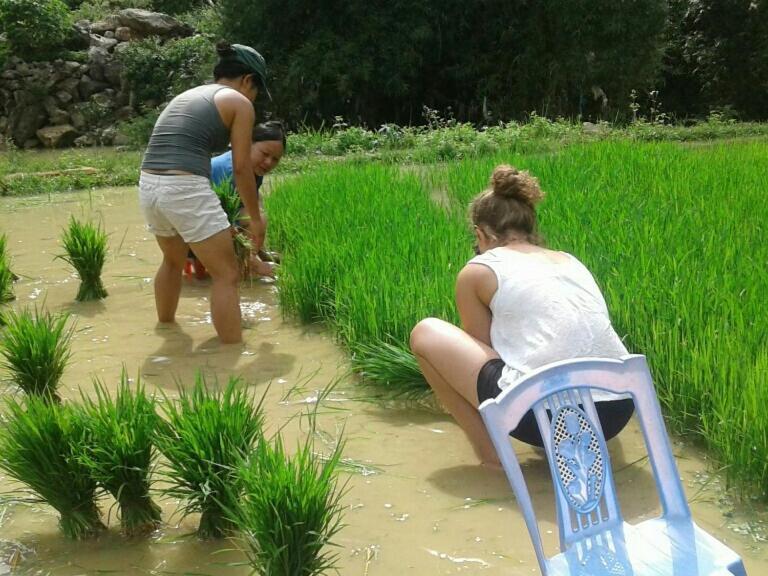 Yen Nhi Homestay Ban Gioc Cao Bang Eksteriør bilde